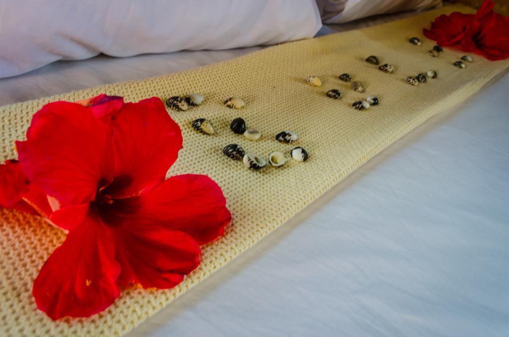 Coralview Island Resort Tavewa Island Екстериор снимка