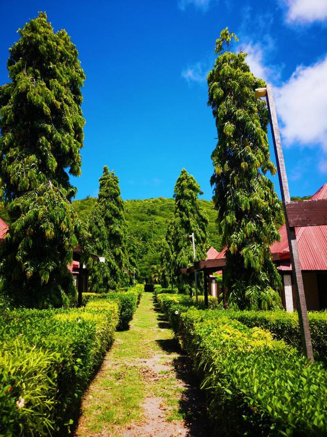 Coralview Island Resort Tavewa Island Екстериор снимка